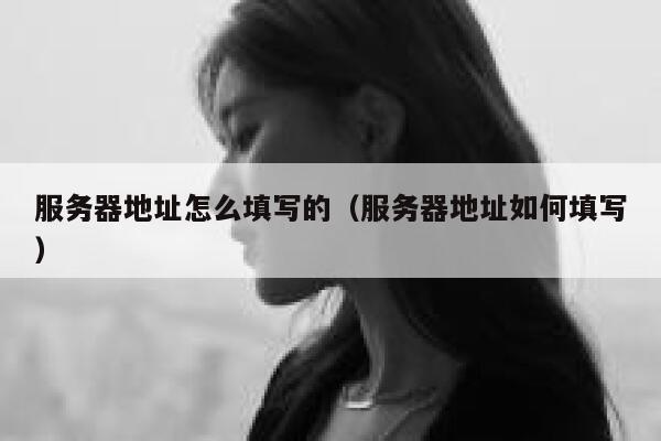 服务器地址怎么填写的（服务器地址如何填写） 第1张