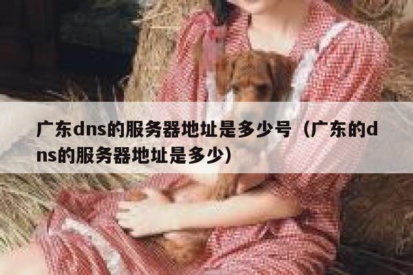 广东dns的服务器地址是多少号（广东的dns的服务器地址是多少） 第1张