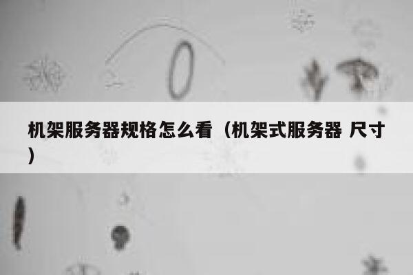 机架服务器规格怎么看（机架式服务器 尺寸） 第1张