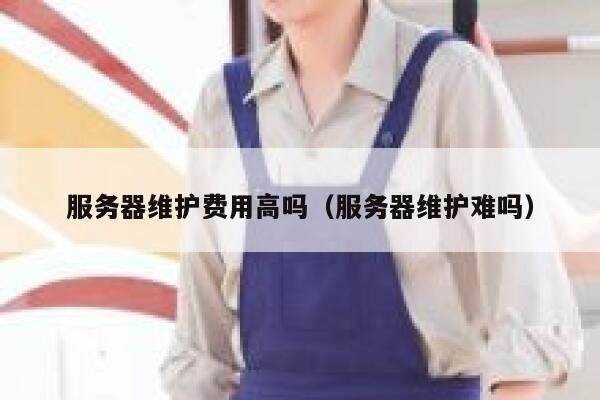 服务器维护费用高吗（服务器维护难吗） 第1张