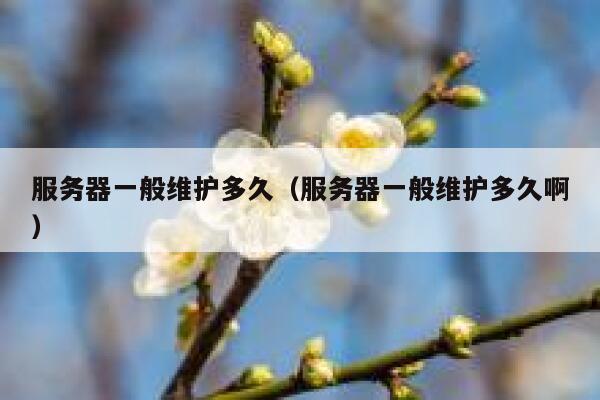 服务器一般维护多久（服务器一般维护多久啊） 第1张