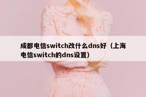 成都电信switch改什么dns好（上海电信switch的dns设置） 第1张
