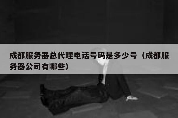 成都服务器总代理电话号码是多少号（成都服务器公司有哪些） 第1张