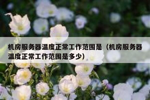 机房服务器温度正常工作范围是（机房服务器温度正常工作范围是多少） 第1张