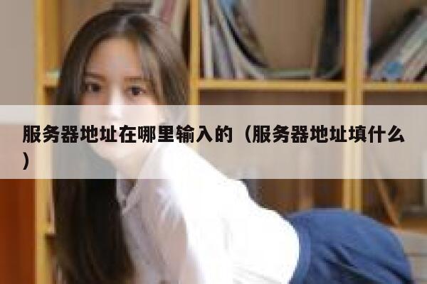 服务器地址在哪里输入的(服务器地址填什么) 第1张 服务器地址在哪里输入的(服务器地址填什么) 第1张
