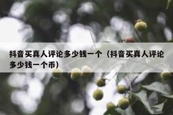抖音买真人评论多少钱一个(抖音买真人评论多少钱一个币) 第1张 抖音买真人评论多少钱一个(抖音买真人评论多少钱一个币) 第1张
