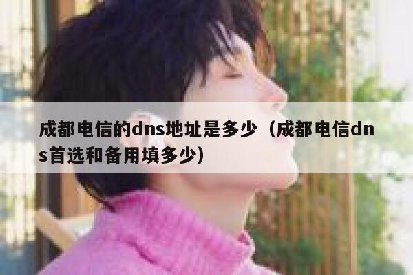 成都电信的dns地址是多少(成都电信dns首选和备用填多少) 第1张 成都电信的dns地址是多少(成都电信dns首选和备用填多少) 第1张