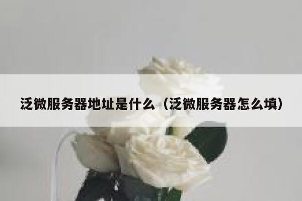 泛微服务器地址是什么（泛微服务器怎么填） 第1张