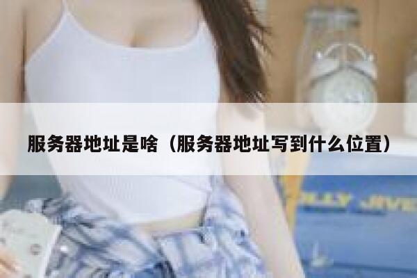 服务器地址是啥（服务器地址写到什么位置） 第1张