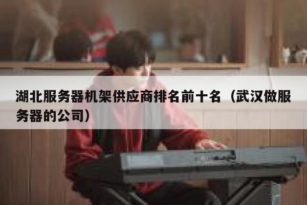 湖北服务器机架供应商排名前十名（武汉做服务器的公司） 第1张