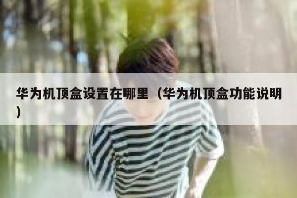 华为机顶盒设置在哪里（华为机顶盒功能说明） 第1张