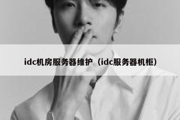 idc机房服务器维护（idc服务器机柜） 第1张
