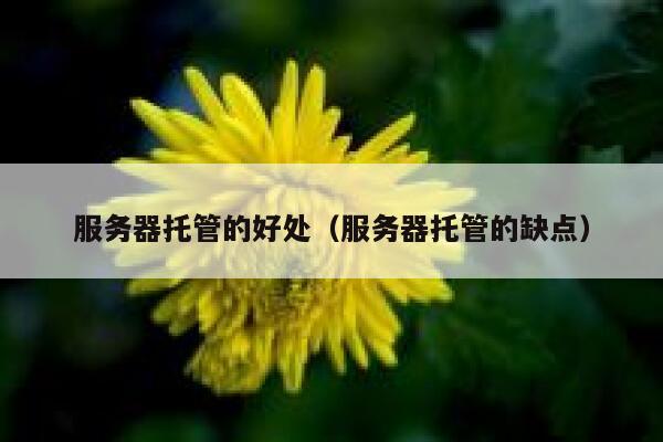 服务器托管的好处（服务器托管的缺点） 第1张
