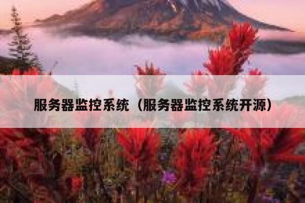 服务器监控系统（服务器监控系统开源） 第1张