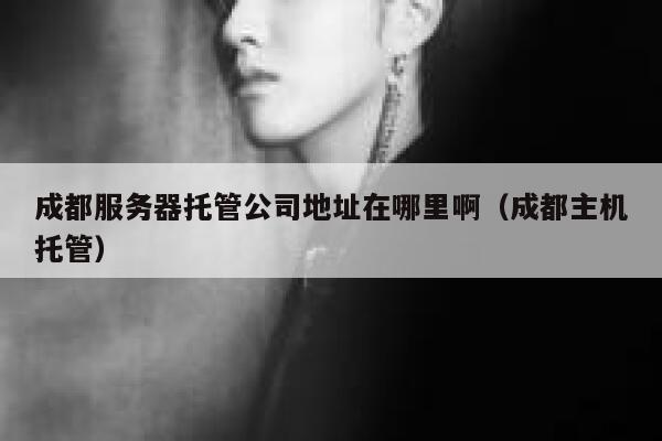 成都服务器托管公司地址在哪里啊（成都主机托管） 第1张