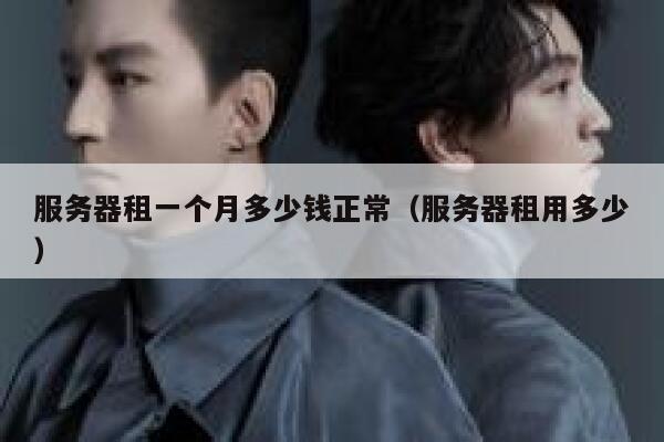 服务器租一个月多少钱正常（服务器租用多少） 第1张