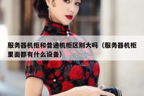 服务器机柜和普通机柜区别大吗（服务器机柜里面都有什么设备） 第1张