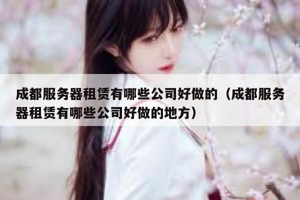 成都服务器租赁有哪些公司好做的（成都服务器租赁有哪些公司好做的地方） 第1张