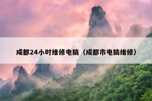 成都24小时维修电脑（成都市电脑维修） 第1张