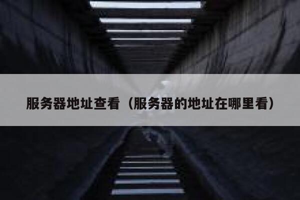 服务器地址查看（服务器的地址在哪里看） 第1张
