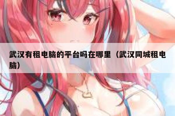 武汉有租电脑的平台吗在哪里（武汉同城租电脑） 第1张