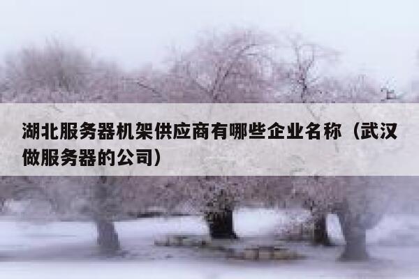 湖北服务器机架供应商有哪些企业名称(武汉做服务器的公司) 第1张 湖北服务器机架供应商有哪些企业名称(武汉做服务器的公司) 第1张