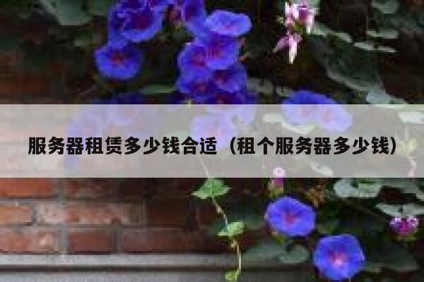 服务器租赁多少钱合适(租个服务器多少钱) 第1张 服务器租赁多少钱合适(租个服务器多少钱) 第1张