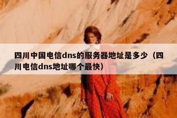 四川中国电信dns的服务器地址是多少（四川电信dns地址哪个最快） 第1张