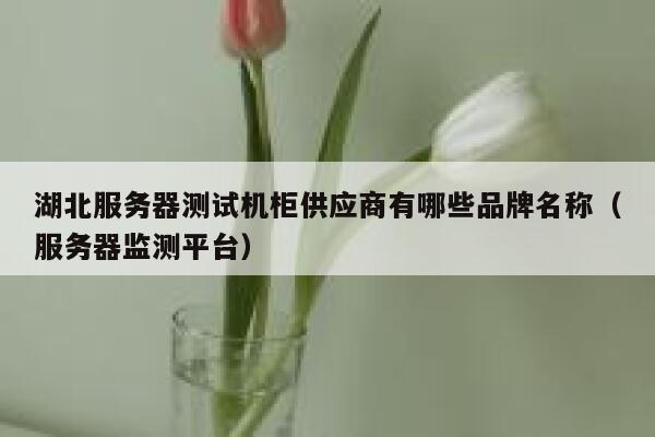 湖北服务器测试机柜供应商有哪些品牌名称（服务器监测平台） 第1张
