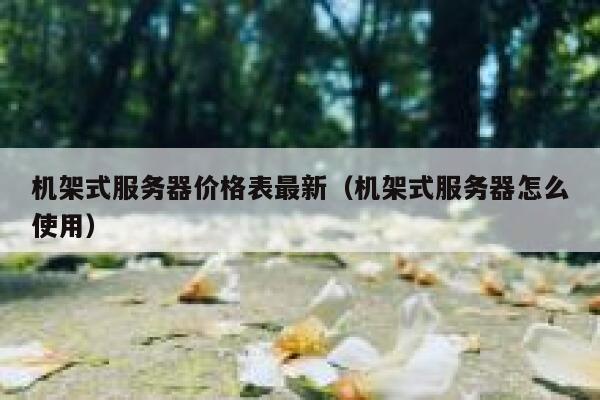 机架式服务器价格表最新（机架式服务器怎么使用） 第1张