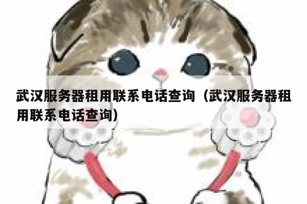 武汉服务器租用联系电话查询（武汉服务器租用联系电话查询） 第1张