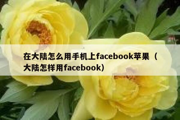 在大陆怎么用手机上facebook苹果（大陆怎样用facebook） 第1张