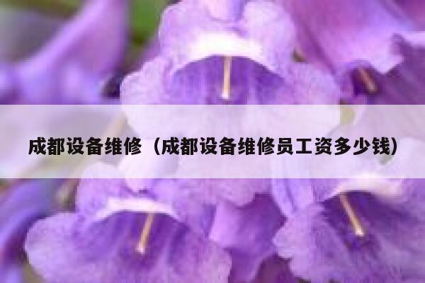 成都设备维修（成都设备维修员工资多少钱） 第1张