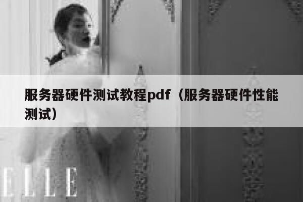 服务器硬件测试教程pdf（服务器硬件性能测试） 第1张