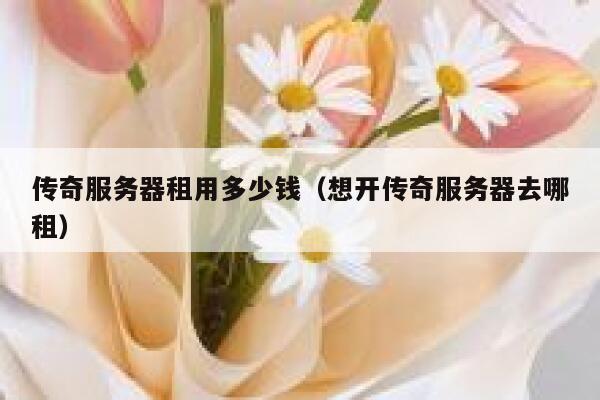 传奇服务器租用多少钱（想开传奇服务器去哪租） 第1张