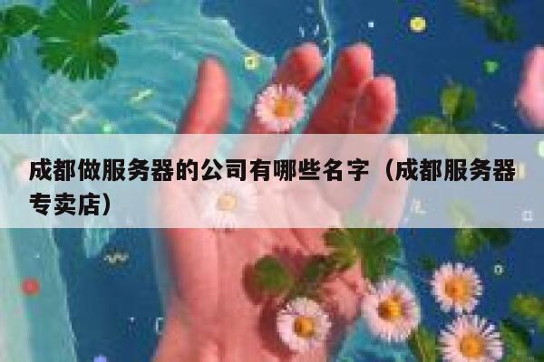 成都做服务器的公司有哪些名字（成都服务器专卖店） 第1张