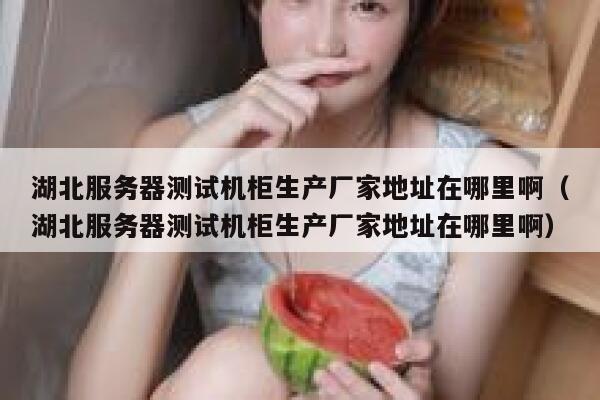 湖北服务器测试机柜生产厂家地址在哪里啊（湖北服务器测试机柜生产厂家地址在哪里啊） 第1张