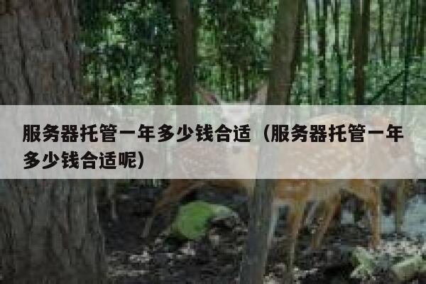 服务器托管一年多少钱合适（服务器托管一年多少钱合适呢） 第1张