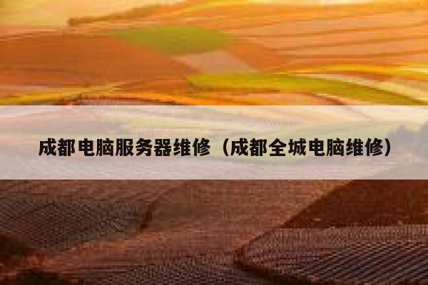 成都电脑服务器维修（成都全城电脑维修） 第1张