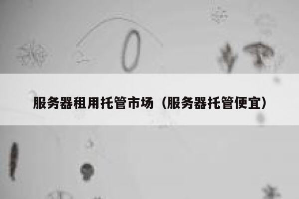 服务器租用托管市场（服务器托管便宜） 第1张