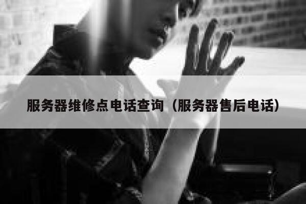 服务器维修点电话查询（服务器售后电话） 第1张