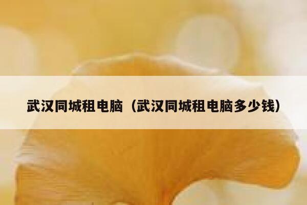 武汉同城租电脑（武汉同城租电脑多少钱） 第1张
