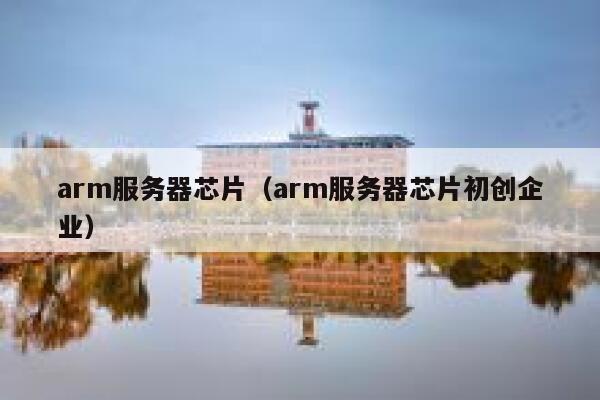 arm服务器芯片（arm服务器芯片初创企业） 第1张