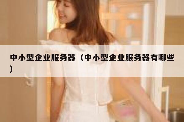 中小型企业服务器（中小型企业服务器有哪些） 第1张