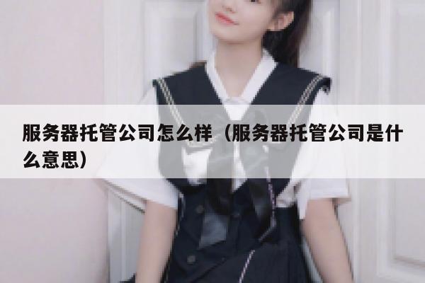 服务器托管公司怎么样（服务器托管公司是什么意思） 第1张