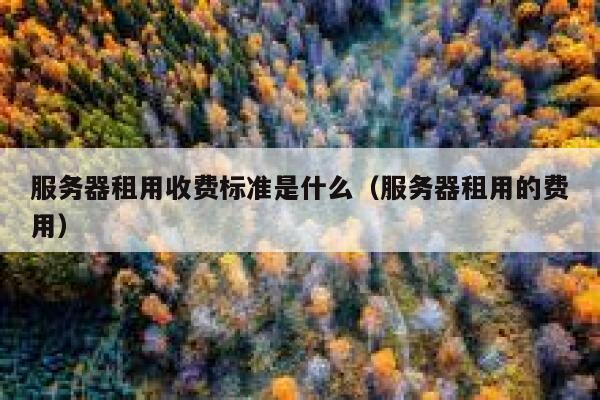 服务器租用收费标准是什么（服务器租用的费用） 第1张