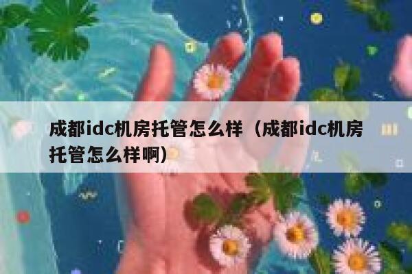 成都idc机房托管怎么样(成都idc机房托管怎么样啊) 第1张 成都idc机房托管怎么样(成都idc机房托管怎么样啊) 第1张
