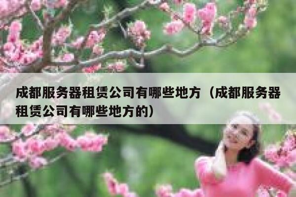 成都服务器租赁公司有哪些地方（成都服务器租赁公司有哪些地方的） 第1张