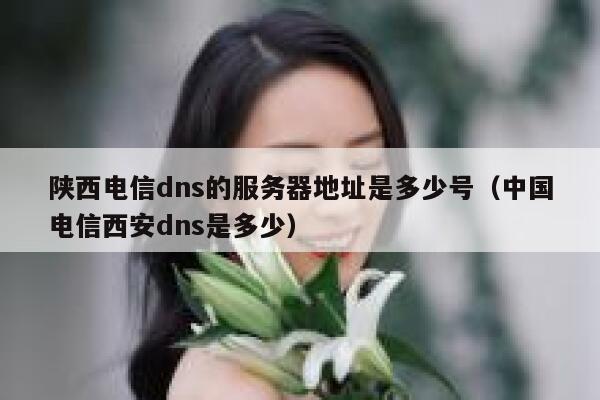 陕西电信dns的服务器地址是多少号（中国电信西安dns是多少） 第1张