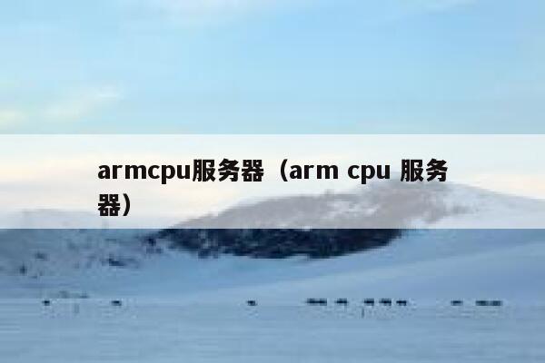 armcpu服务器(arm cpu 服务器) 第1张 armcpu服务器(arm cpu 服务器) 第1张